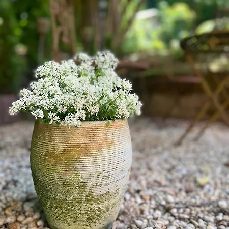 Maison Lily 4 Lejlighed