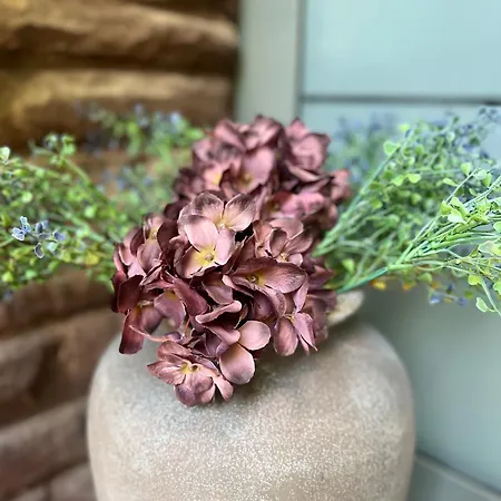 Maison Lily 4 Lägenhet *